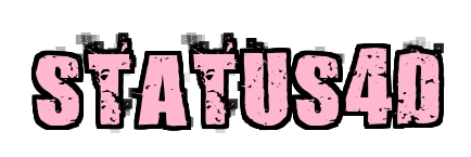 Status4D