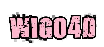 Wigo4D logo